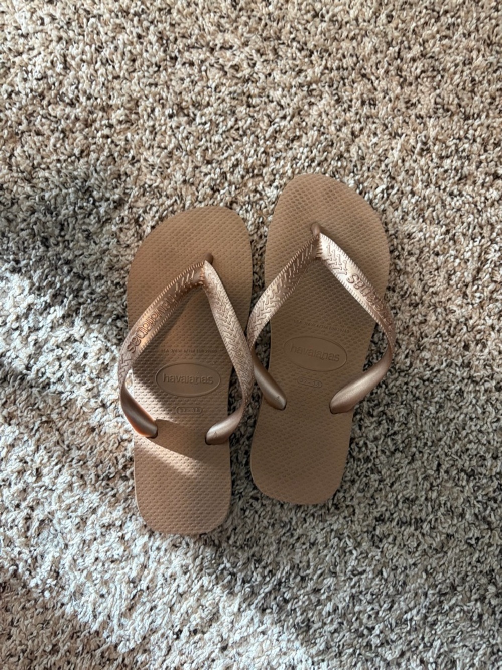 Havaianas Metallic Bronze/Brown Flip Flops